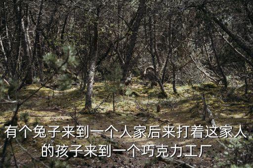 有個兔子來到一個人家后來打著這家人的孩子來到一個巧克力工廠
