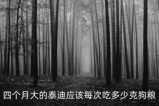 四個(gè)月大的泰迪應(yīng)該每次吃多少克狗糧