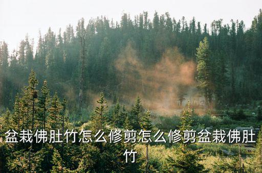 大佛肚竹,怎么修剪盆栽佛肚竹?注意事項有很多!