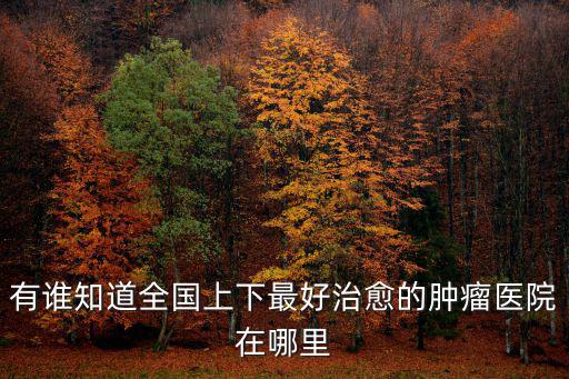 看腫瘤最好的醫院在哪，哪家腫瘤醫院比較好啊急急
