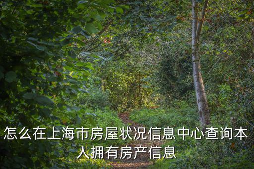 上海市律師協(xié)會郝紅穎，怎么在上海市房屋狀況信息中心查詢本人擁有房產(chǎn)信息