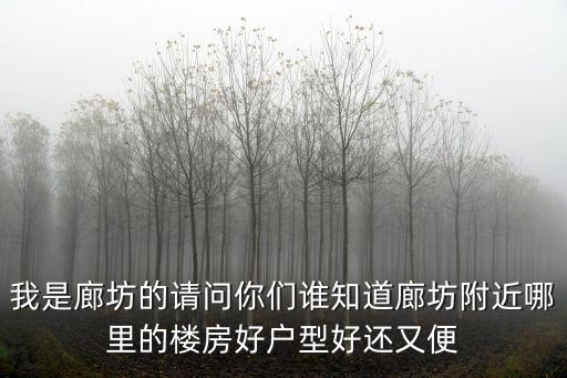 我是廊坊的請(qǐng)問你們誰(shuí)知道廊坊附近哪里的樓房好戶型好還又便