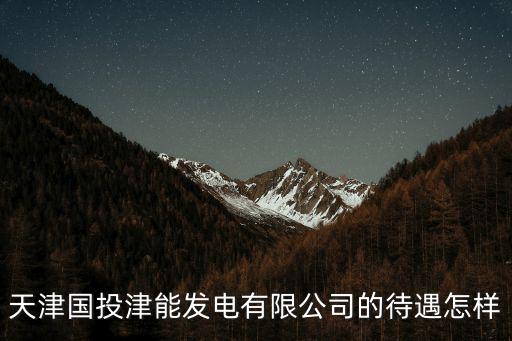 天津國投津能發(fā)電有限公司的待遇怎樣