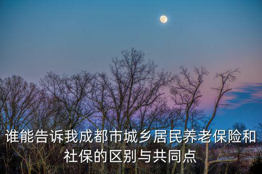 誰(shuí)能告訴我成都市城鄉(xiāng)居民養(yǎng)老保險(xiǎn)和社保的區(qū)別與共同點(diǎn)