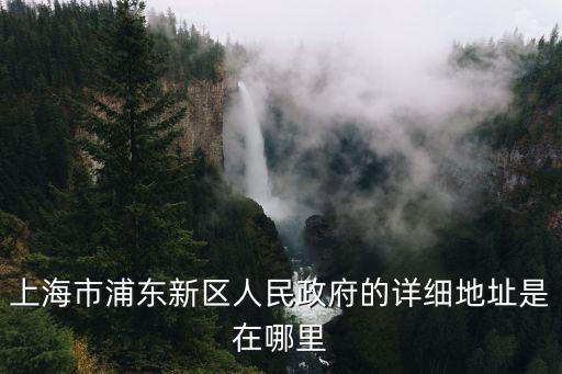 上海市浦東新區(qū)人民政府的詳細地址是在哪里