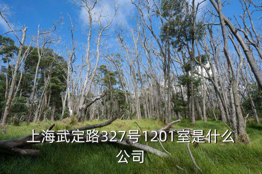 上海武定路327號(hào)1201室是什么公司