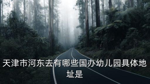 天津市河東去有哪些國辦幼兒園具體地址是
