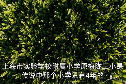 上海市實驗學校附屬小學原梅隴三小是傳說中那個小學只有4年的