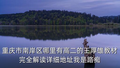 重慶市南岸區(qū)哪里有高二的王厚雄教材完全解讀詳細地址我是路癡