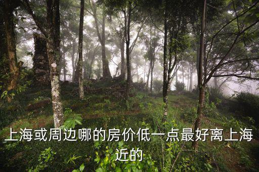 上海靠近海的是哪個區房價，上海或周邊哪的房價低一點最好離上海近的