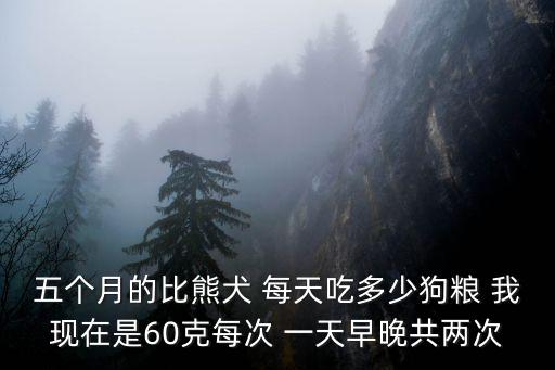 五個(gè)月的比熊犬 每天吃多少狗糧 我現(xiàn)在是60克每次 一天早晚共兩次