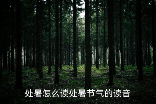 處暑怎么讀處暑節氣的讀音
