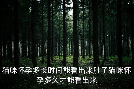 貓咪懷孕多長時間能看出來肚子貓咪懷孕多久才能看出來