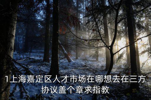 上海市嘉定區(qū)勞技中心地址，上海市嘉定區(qū)勞務(wù)中介所在位置