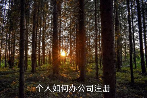個人如何注冊公司，個人如何注冊公司