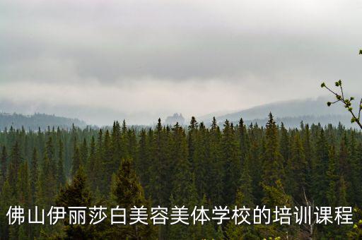 佛山伊麗莎白美容美體學校的培訓課程