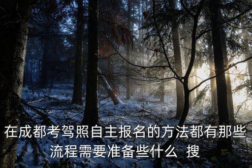 在成都考駕照自主報名的方法都有那些流程需要準(zhǔn)備些什么  搜
