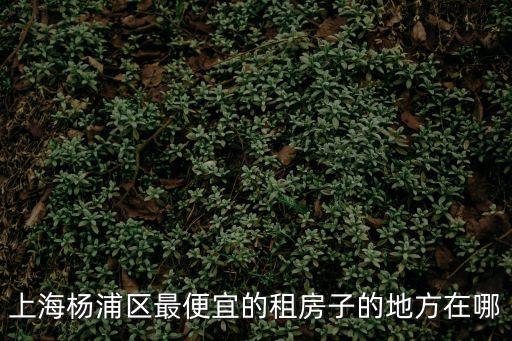 楊浦哪個小區(qū)房價最低，請問上海楊浦區(qū)哪里租房便宜謝謝
