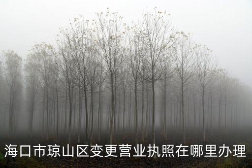 海南營業執照怎么辦理，在海南 自己開公司 需要辦理什么手續