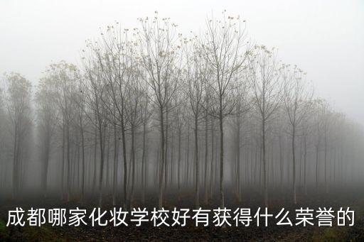 成都哪家化妝學(xué)校好有獲得什么榮譽(yù)的