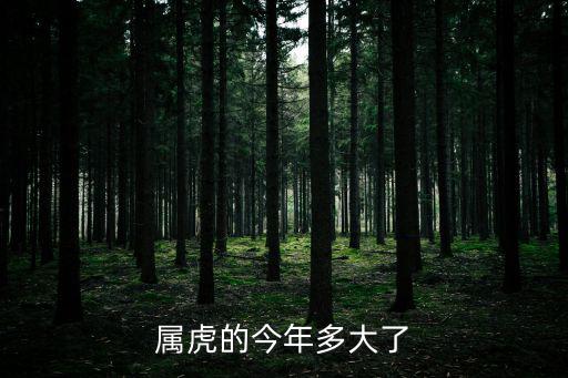 屬虎的今年多大了
