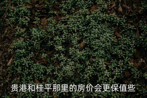 貴港和桂平那里的房?jī)r(jià)會(huì)更保值些