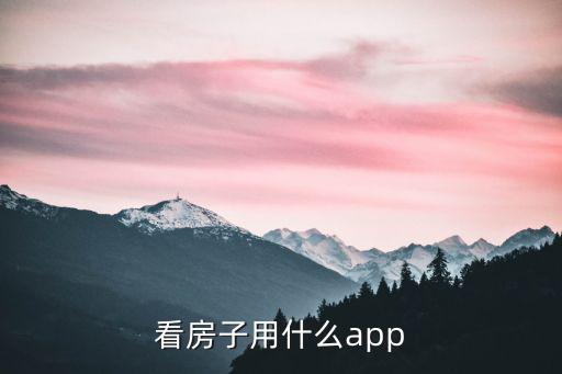 看房子用什么app
