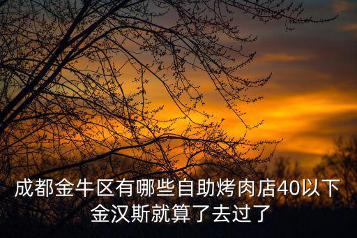 成都市金牛區自助餐在哪里，成都金牛區有哪些自助烤肉店40以下 金漢斯就算了去過了