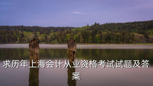 求歷年上海會計從業資格考試試題及答案