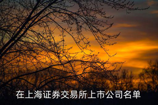 在上海證券交易所上市公司名單