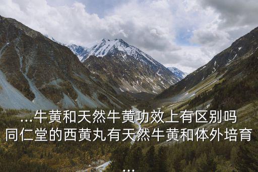 西黃丸說明書,如果經(jīng)濟(jì)條件不受影響可選用天然牛黃制劑治療