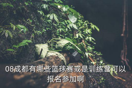08成都有哪些籃球賽或是訓練營可以報名參加啊