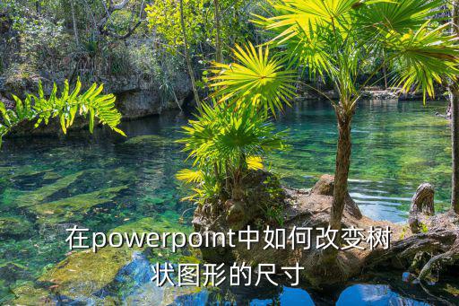 在powerpoint中如何改變樹(shù)狀圖形的尺寸