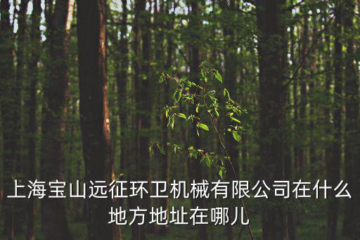 上海寶山遠征環衛機械有限公司在什么地方地址在哪兒