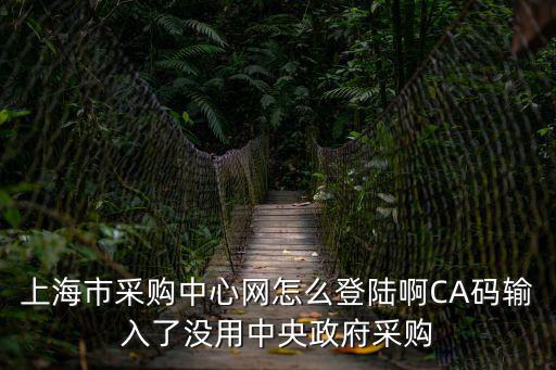 上海市采購中心網怎么登陸啊CA碼輸入了沒用中央政府采購