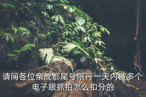 成都市尾號限行被多個電子眼抓拍，請問各位親成都尾號限行一天內被多個電子眼抓拍怎么扣分的