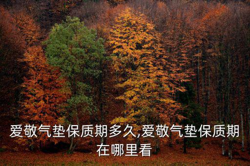 愛敬氣墊保質期多久,愛敬氣墊保質期在哪里看