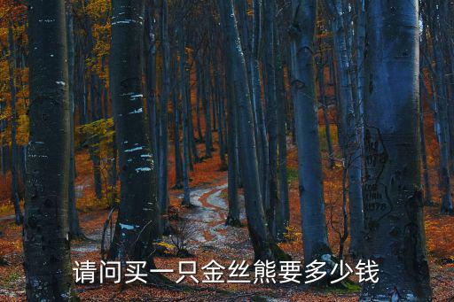 請問買一只金絲熊要多少錢