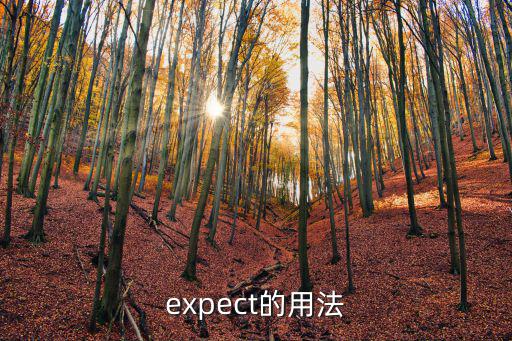 expect的用法