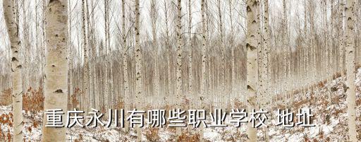 重慶永川有哪些職業(yè)學校 地址