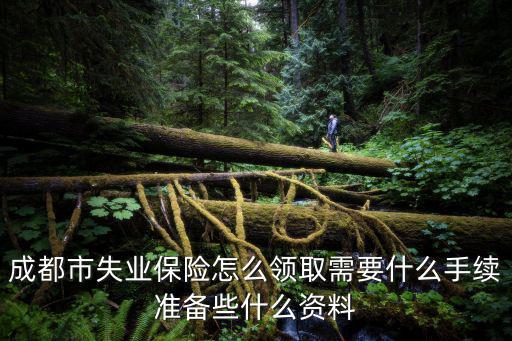 成都市失業(yè)保險怎么領(lǐng)取需要什么手續(xù)準(zhǔn)備些什么資料