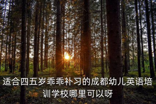 成都市少兒培訓私教，成都幼兒英語培訓讓乖乖主動補習英語的誰幫我說個培訓班嘛機構去哪