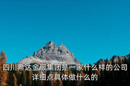 四川希達金服集團是一家什么樣的公司詳細點具體做什么的