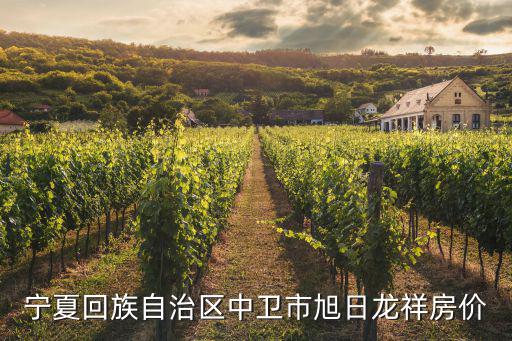 寧夏回族自治區(qū)中衛(wèi)市旭日龍祥房價