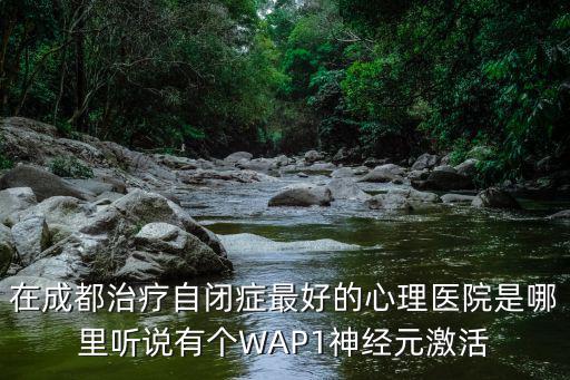 在成都治療自閉癥最好的心理醫院是哪里聽說有個WAP1神經元激活