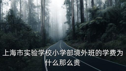上海市實驗學校小學部境外班的學費為什么那么貴
