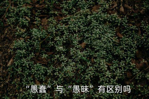 愚昧,愚蠢與愚昧有區(qū)別嗎?