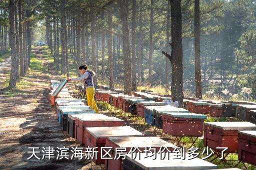 天津濱海新區房價均價到多少了