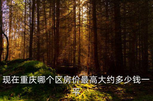 現(xiàn)在重慶哪個(gè)區(qū)房?jī)r(jià)最高大約多少錢一平