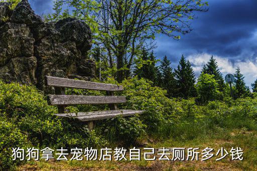 訓練狗狗大小便多少錢，訓狗多少錢要訓練狗狗在外面大小便3個月拉不拉多